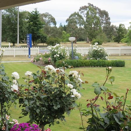Culverden Court Motel المظهر الخارجي الصورة